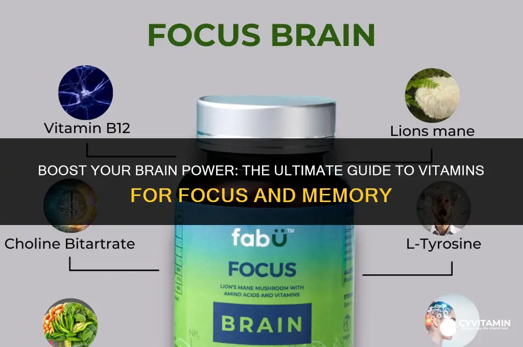 what is the best vitamin for brain focus and memory