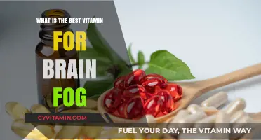 Boost Your Brain: The Ultimate Guide to Vitamins for Mental Clarity
