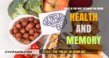 Boost Your Brain: The Ultimate Guide to Memory-Enhancing Vitamins