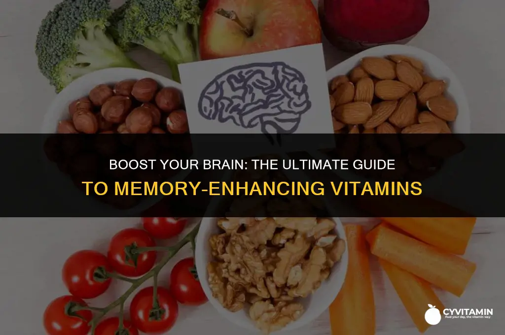 what is the best vitamin for brain health and memory