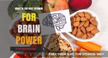 Unlocking Cognitive Potential: The Ultimate Guide to Brain-Boosting Vitamins