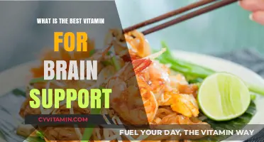 Boost Your Brain Health: The Ultimate Guide to Choosing the Best Vitamin