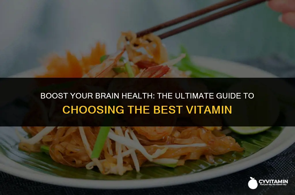 what is the best vitamin for brain support
