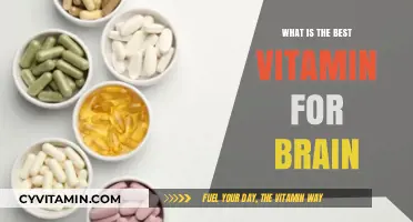 Unlocking Cognitive Potential: The Ultimate Guide to Brain-Boosting Vitamins
