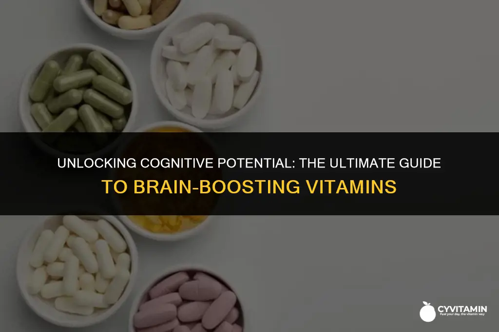 what is the best vitamin for brain