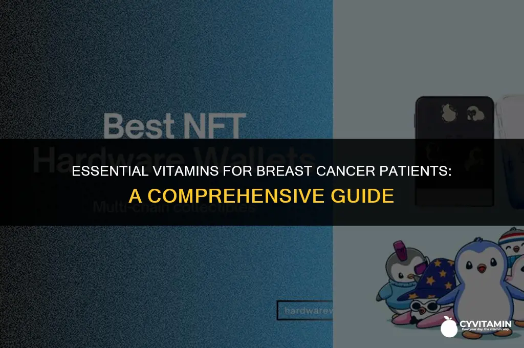 what is the best vitamin for breast cancer patients