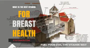 Nourishing Your Bust: The Ultimate Guide to Breast Health Vitamins