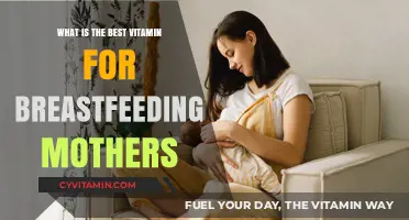 Nourishing New Moms: The Essential Vitamin Guide for Breastfeeding
