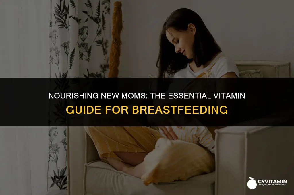 what is the best vitamin for breastfeeding mothers