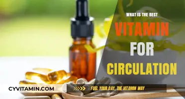 Boost Blood Flow: Top Vitamins for Optimal Circulation Revealed