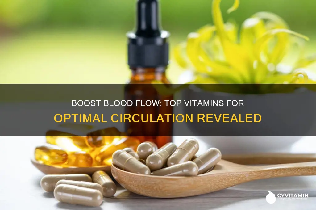what is the best vitamin for circulation