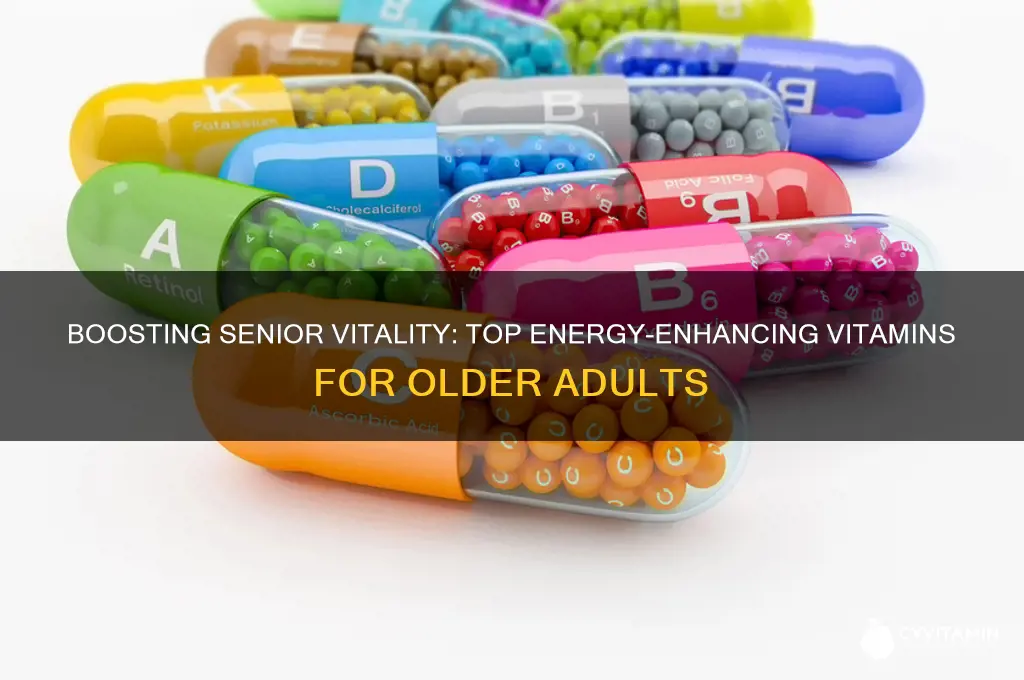 what is the best vitamin for energy for seniors