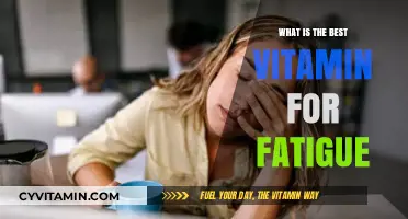 Top Vitamins to Combat Fatigue and Boost Your Energy Levels