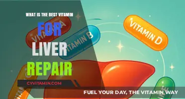 Top Vitamins for Liver Repair and Optimal Health Boost