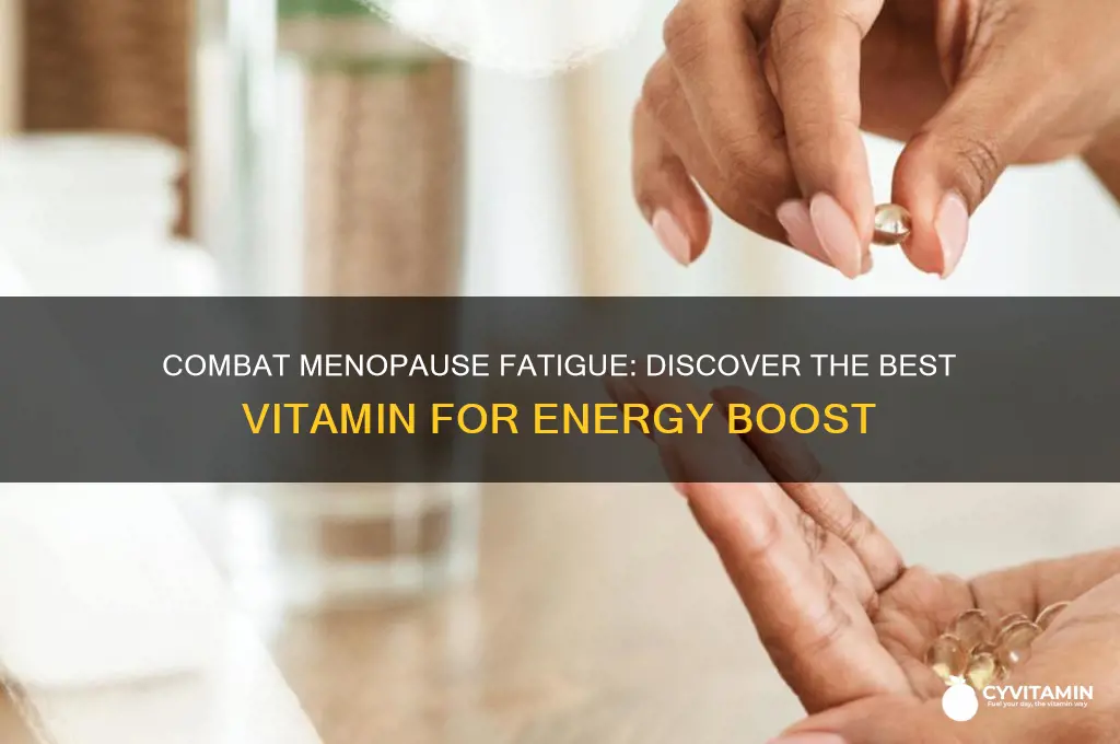what is the best vitamin for menopause fatigue