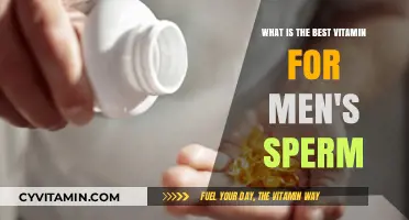 Boosting Male Fertility: Top Vitamins for Healthy Sperm Production