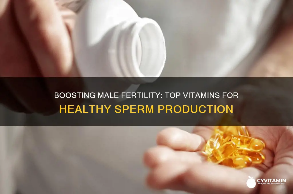 what is the best vitamin for men