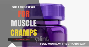 Top Vitamins to Relieve Muscle Cramps: Essential Nutrients for Relief