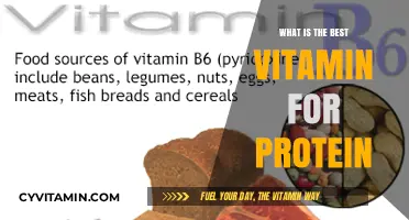 Boost Protein Absorption: Discover the Best Vitamin for Optimal Results