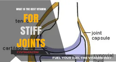 Relieve Stiff Joints: Discover the Top Vitamin for Flexibility and Comfort