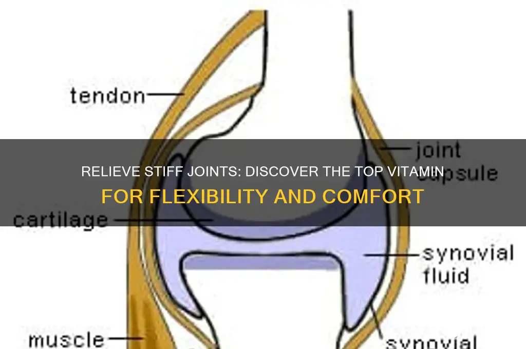 what is the best vitamin for stiff joints