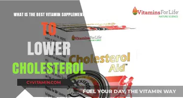 Top Vitamin Supplements to Naturally Lower Cholesterol Levels