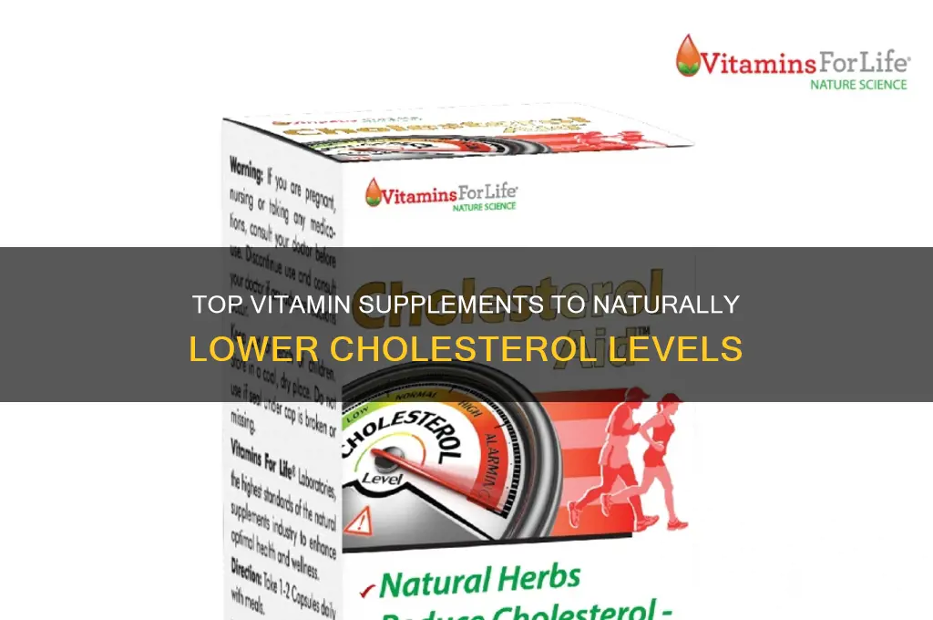 what is the best vitamin supplement to lower cholesterol