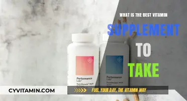 Top Vitamin Supplements: Which One Best Supports Your Health Needs?