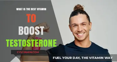 Top Vitamins to Naturally Boost Testosterone Levels Effectively