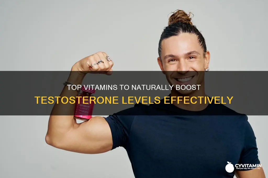 what is the best vitamin to boost testosterone