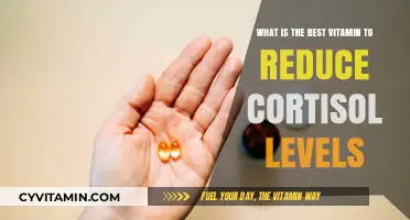 Top Vitamins to Naturally Lower Cortisol and Reduce Stress
