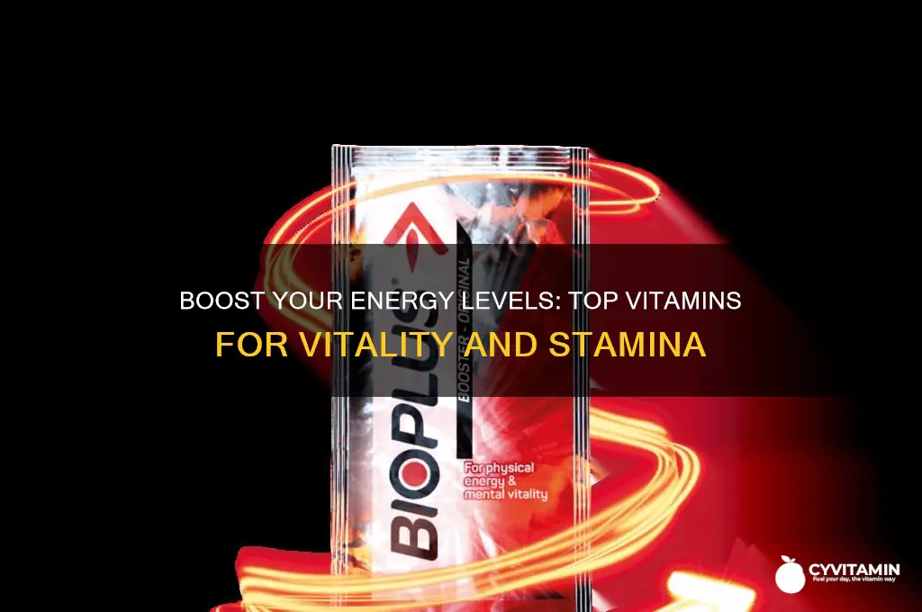 what is the best vitamin to take for energy