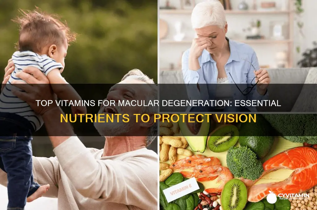 what is the best vitamin to take for macular degeneration