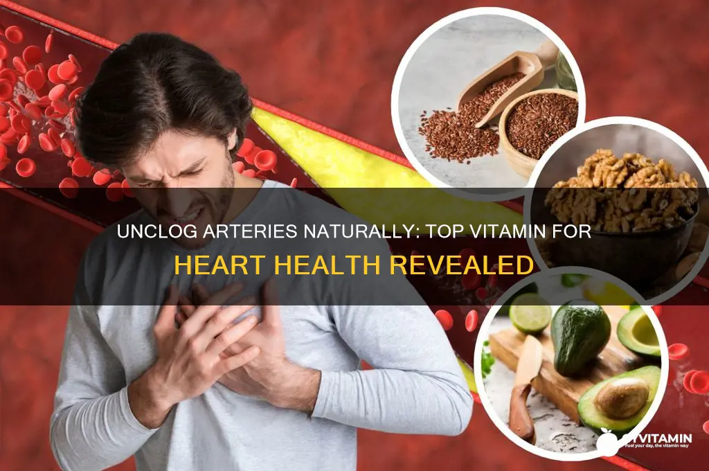 what is the best vitamin to unclog arteries