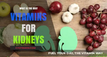 Essential Kidney-Friendly Vitamins: Boosting Renal Health Naturally and Safely