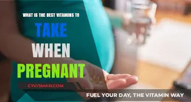 Essential Prenatal Vitamins for a Healthy Pregnancy: Expert Recommendations