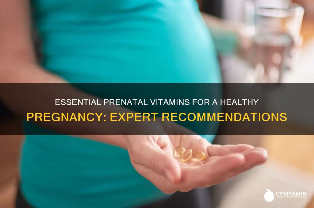 what is the best vitamins to take when pregnant