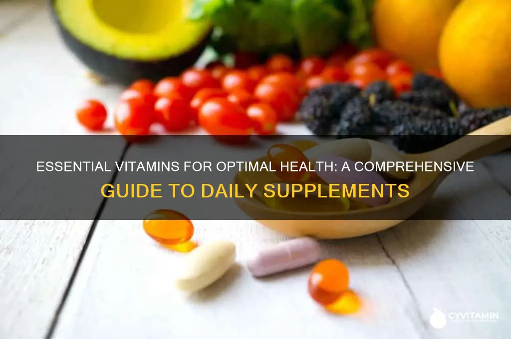 what is the best vitamins to take