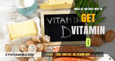 Sunlight, Supplements, or Diet: Optimal Ways to Boost Vitamin D