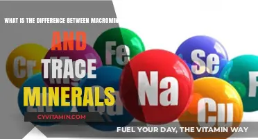 Understanding the Crucial Difference Between Macrominerals and Trace Minerals