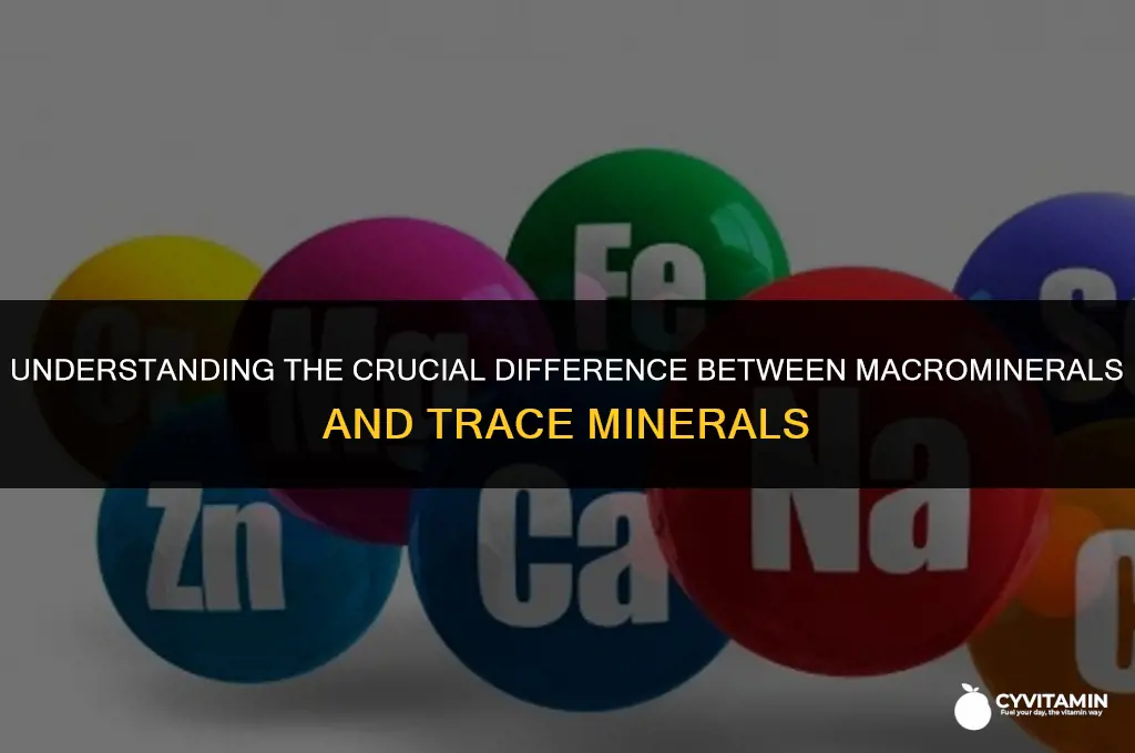 what is the difference between macrominerals and trace minerals