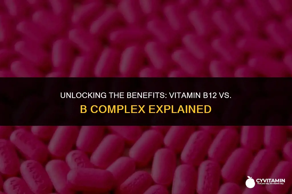 what is the difference between vitamin b12 and b complex