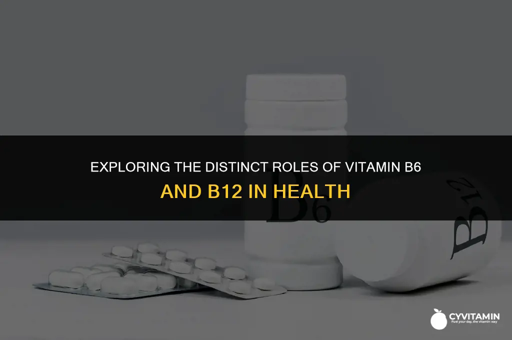 what is the difference between vitamin b6 and vitamin b12