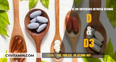 Unlocking the Secrets: Vitamin D vs. D3 Explained