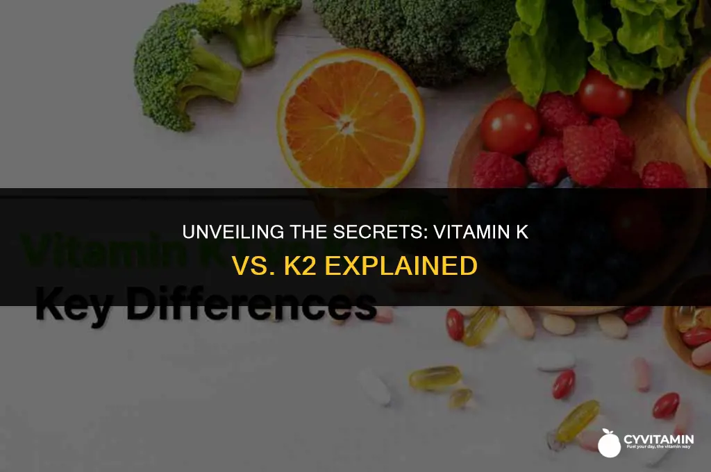 what is the difference between vitamin k and k2