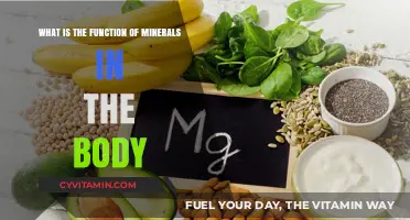 Essential Minerals: Unlocking the Secrets to Optimal Health