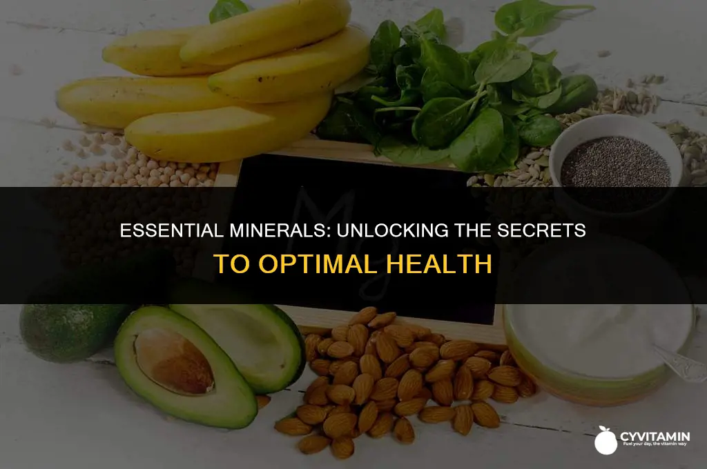 what is the function of minerals in the body