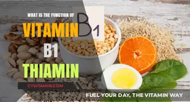 Unlocking Energy: The Vital Role of Vitamin B1 (Thiamin)