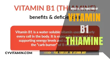 Unlocking Energy: The Vital Role of Vitamin B1 (Thiamine)