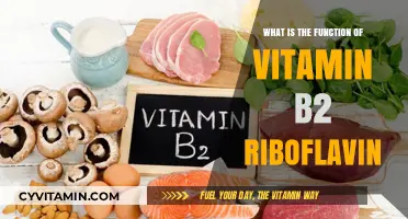 Unlocking the Power of Vitamin B2: Riboflavin's Essential Role in Health